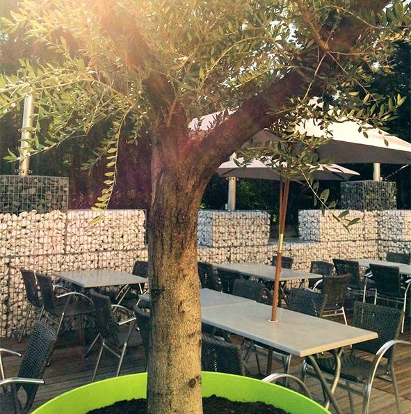 Le restaurant - All Fred's - Dardilly - manger a DARDILLY